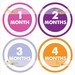 Monthly Onesie Sticker (Girl):  Solid Circles