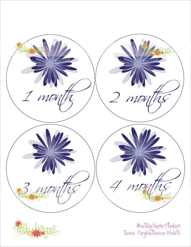 Monthly Onesie Sticker (Girl): Violet Chrysanthemum