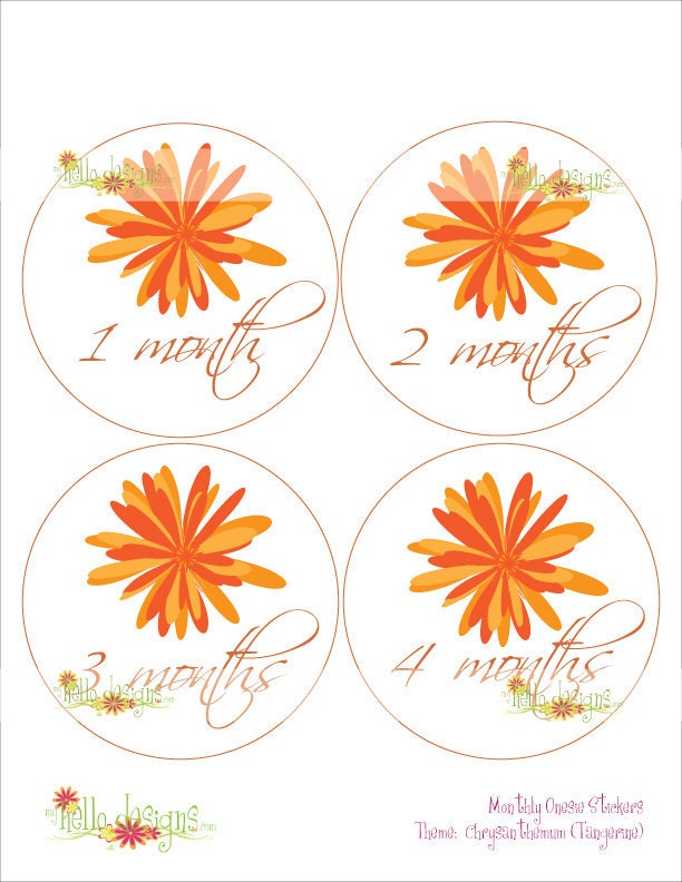 Monthly Onesie Sticker (Girl): Tangerine Chrysanthemum