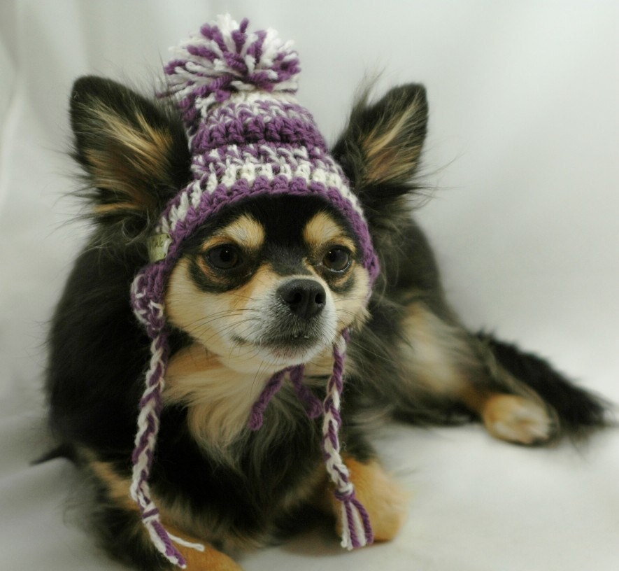 Crocheted dog hat, XS-S dog ear flap braids, purple and white, wool and mohair