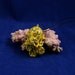 Blue Ringed Octopus Necklace - Polymer Clay Jewelry Pendant