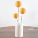 Bouquet of Needle Felted Marigold Yellow Flower Spheres with Vase