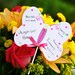 Butterfly Birthday Invitation