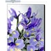 Photograph Flower Irises Purple, 8 x 12,  Watercolor Purple Iris Bouquet, Fine Art Photograph