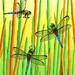 The Dragonfly Meeting 8x10 Print