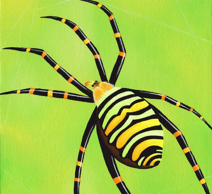Dreamgirl Spider 8x10 Print