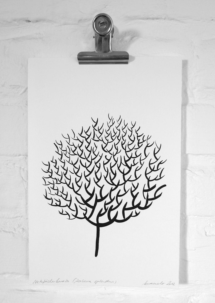 Print: Fan Coral on handmade paper