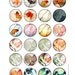 Tender CloseUp 2 Digital Collage Sheets CG438 15 by CobraGraphics