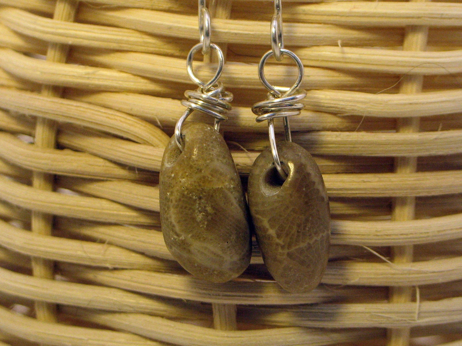 Petoskey Stone Sterling Silver Earrings