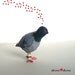 Pigeon Post - Valentine Messenger Pigeon