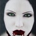 BLOODY KISSES -  Artisan Perfume Oil