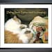 Photograph FASHION WEEK CAT, Darling, I Know. Fashion Week Is Exhausting. 20 x 16,  Poster Print, Fine Art Pet Photography
