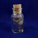 Mouse Specimen Jar - One of a Kind Mixed Media Rodent Sculpture