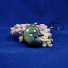 Cosmic Nautilus Necklace - Handmade Polymer Clay Jewelry