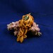 Brass Steampunk Cuttlefish Necklace - Polymer Clay Cephalopod Jewelry