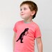 SALE, Dinosaur shirt, T-Rex Shirt,  funny baby shirt, toddler, Pink, etsykids team