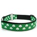 1" dog collar Lucky Dog buckle or martingale collar