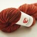 Merino/Cashmere/Nylon Fingering Yarn - Lush - Pumpkin Pasties