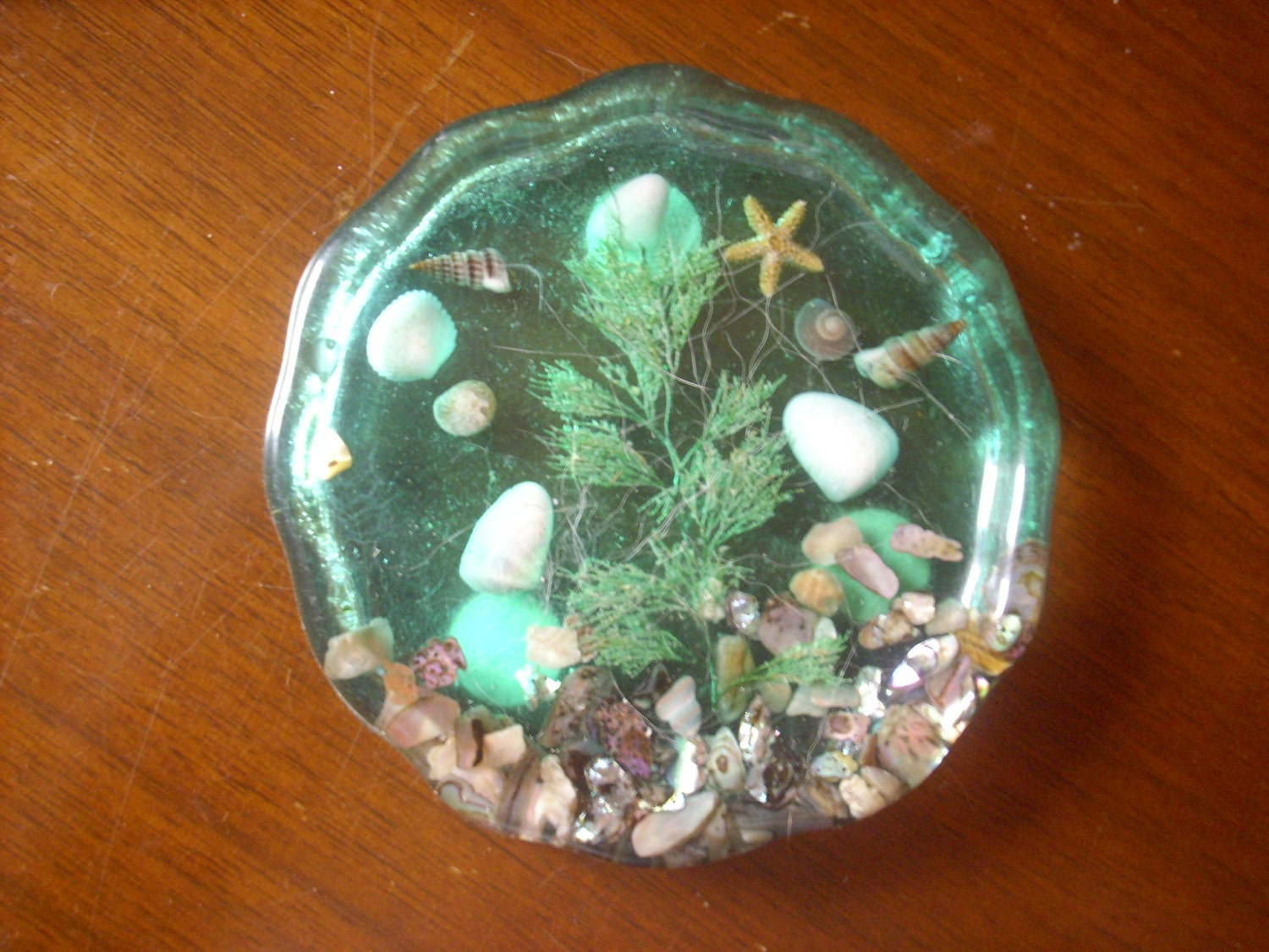 Set of four Acrylic Coasters 1970's Shells Imbedded in Resin