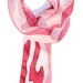 bacon silk scarf  - hand painted