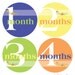 Monthly Onesie Sticker (Neutral): Solid Colorful Circles