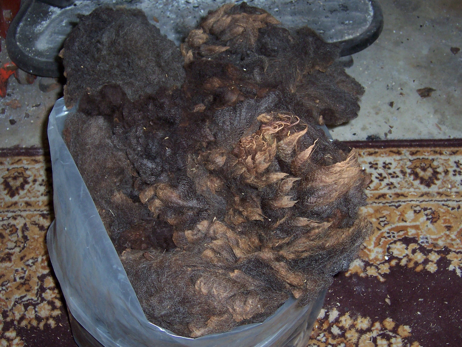 RAW UNSKIRTED Merino, Corriedale Dorset X - 6 1/2 oz