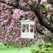 Birdfeeder PVC decorative low maintenance hanging Birdfeeder -Dreamy style- Made in the USA