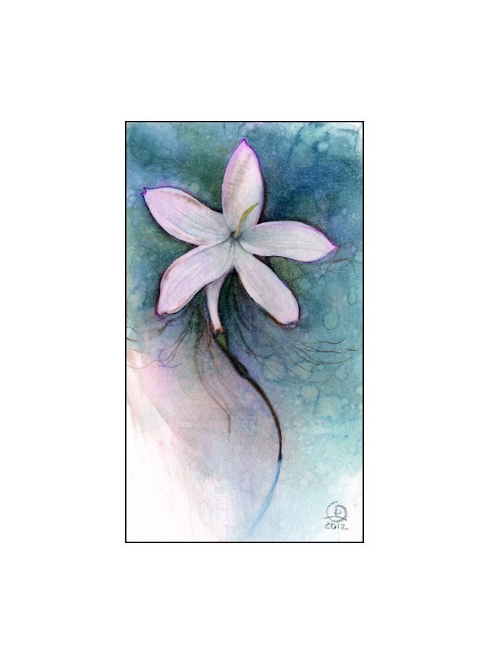 Jasmine - by Stephanie Pui-Mun Law original mixed media painting