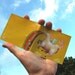 Pegacorn wallet - Mikeatron for Tinymeat