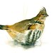 GROUSE Original watercolor painting 10x8inch