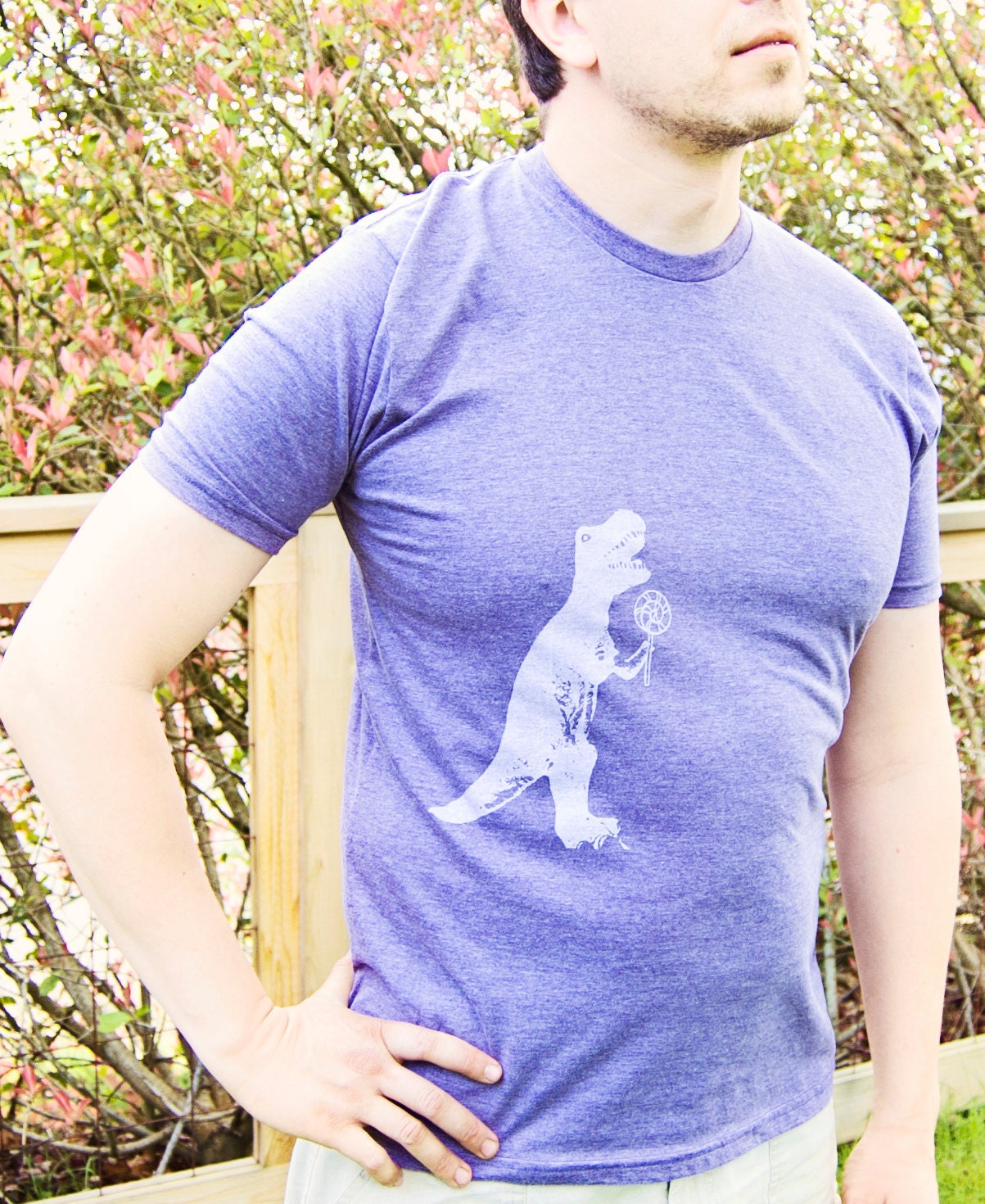Funny T Shirt, T- Rex Shirt, Dinosaur Shirt, Mens  Shirt, 247 team, purple