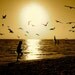 Forever Young Forever Free Sunset Sepia Scenic Photography Print 8x10 - Free U.S Shipping
