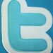 Twitter Icon Pillow