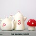 Campy Salt and Pepper Shaker Set
