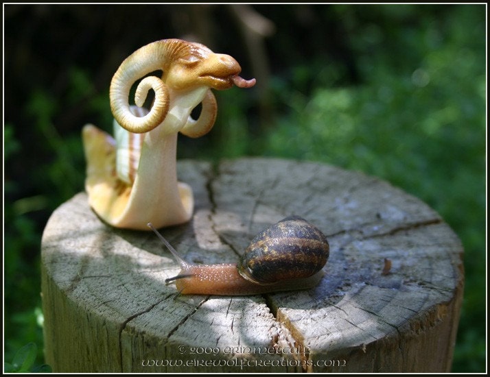 First Sight - blind Dragon Snail - OOAK polymer clay fantasy sculpture