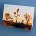 Joshua Tree Santa Christmas Card Set $36