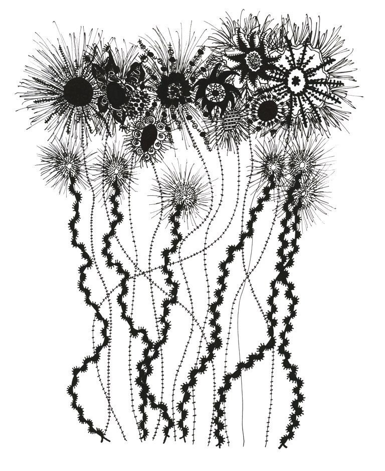 wild flowers and dandelions original drawing From pengwynneart