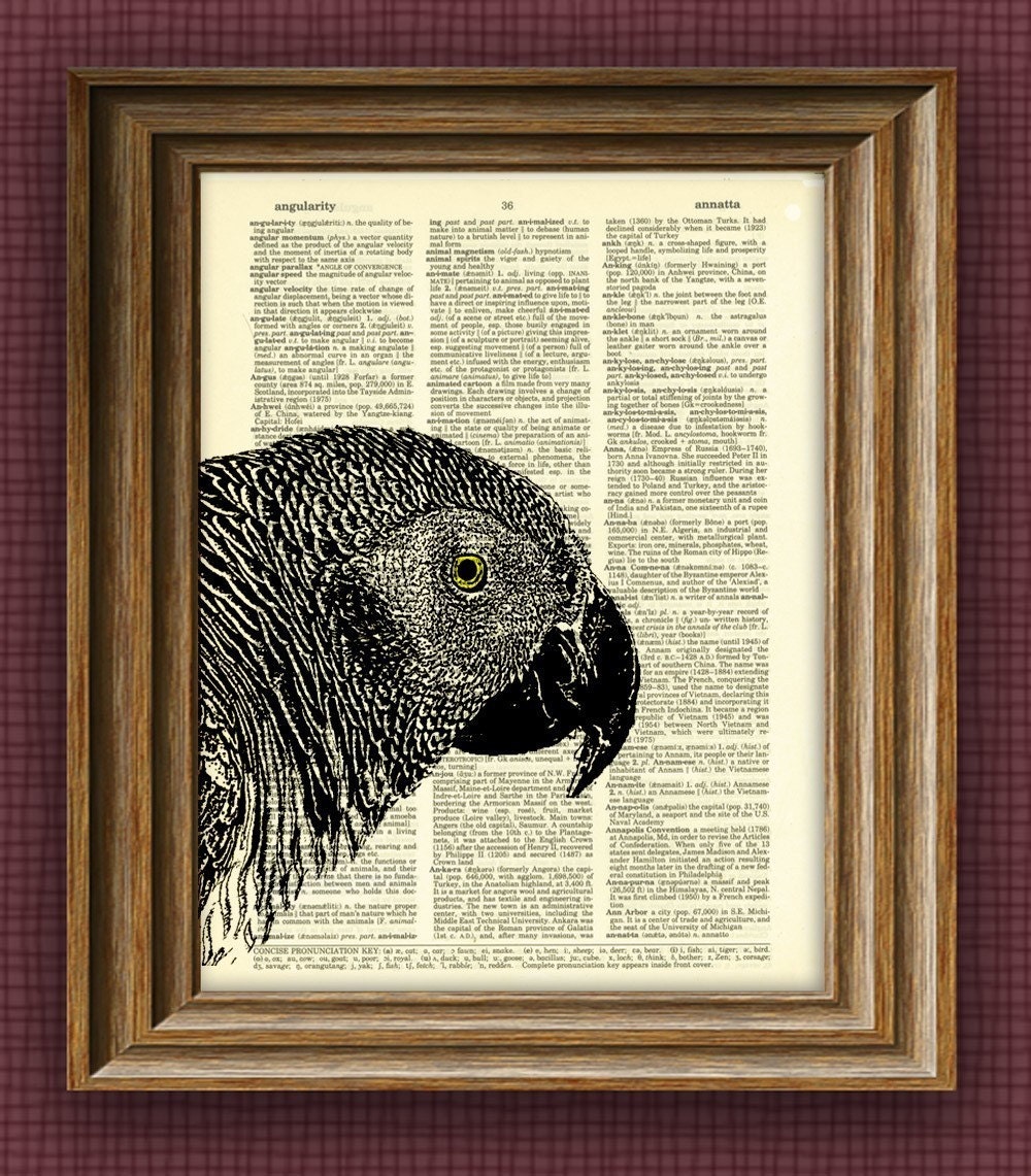 african grey parrots for sale in illinois african grey parrots for sale in illinois