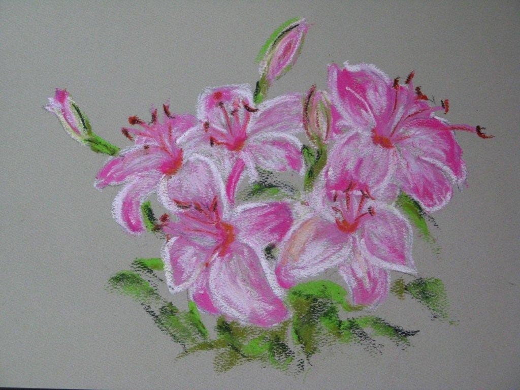 Xmas25 Pink White Lilies