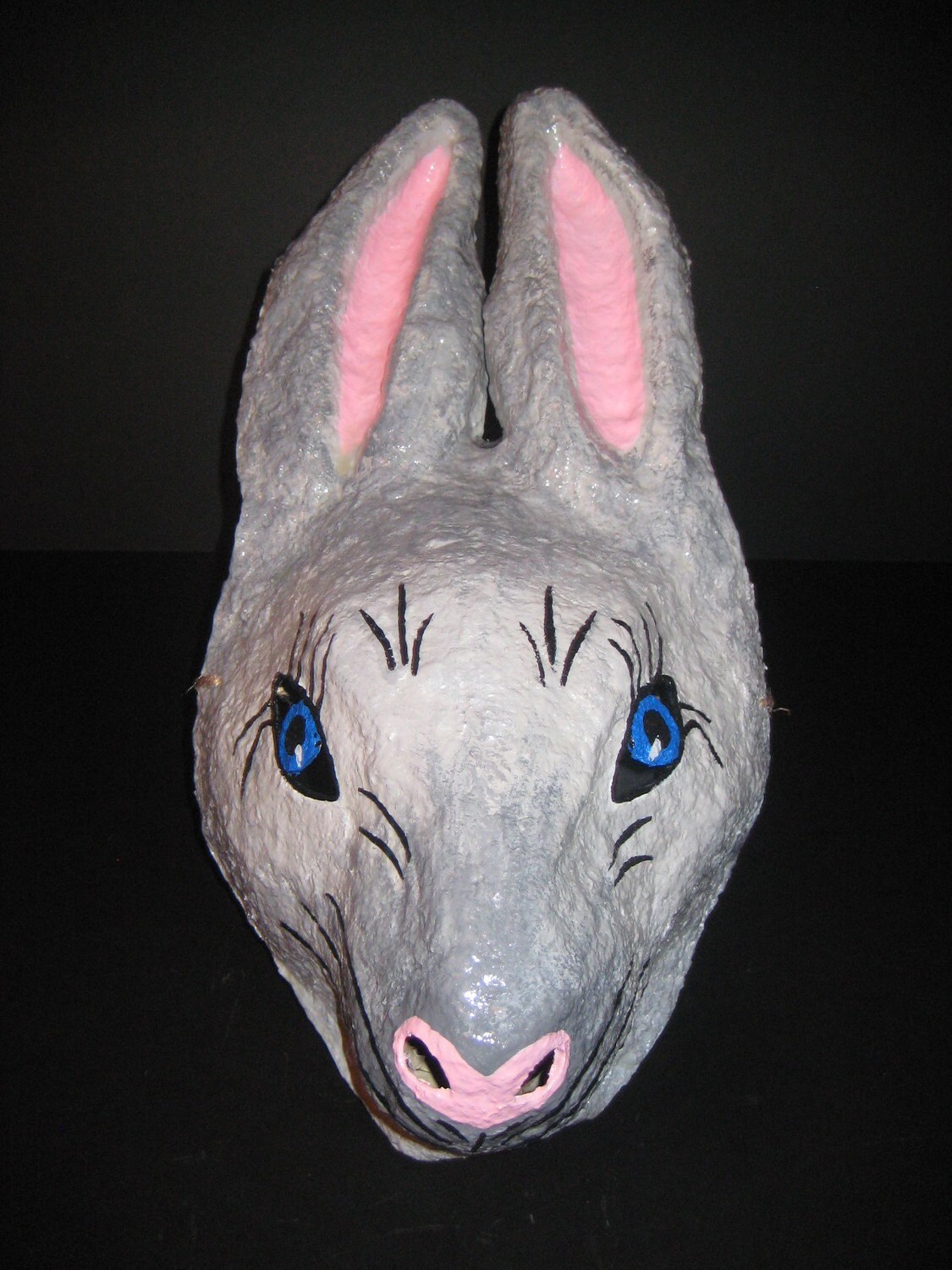 Mr.Bunny! の掲示板投稿写真＆画像