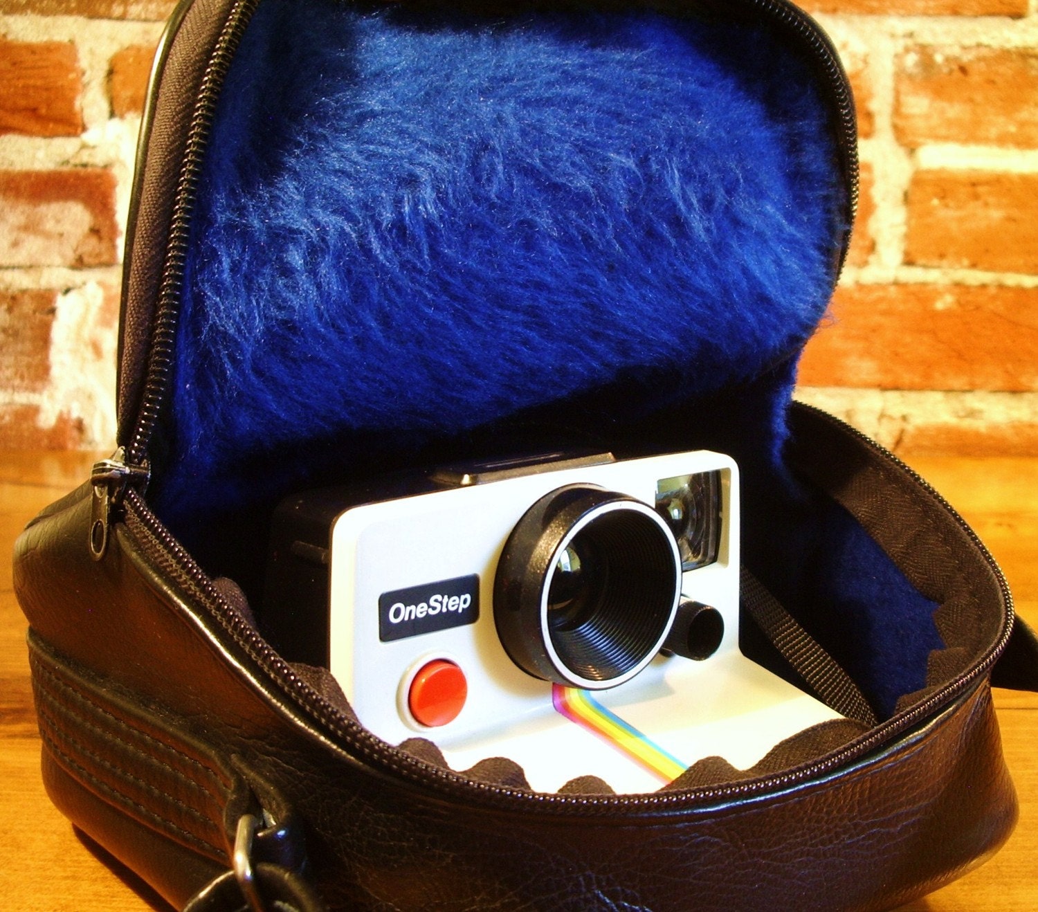 Kodak+camera+bag