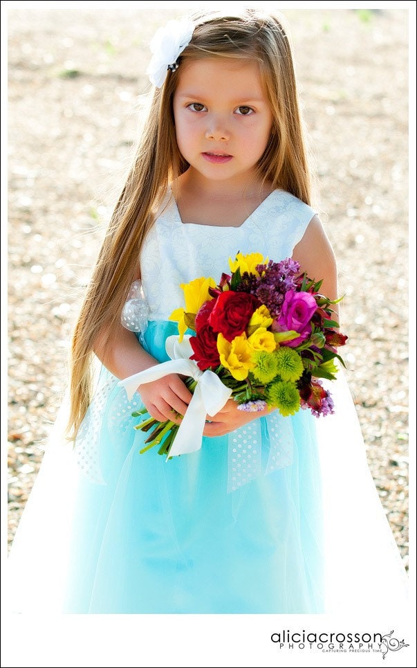 Blue Tiffany Wedding Flower Girl Dress Formal Dress Birthday Dress 