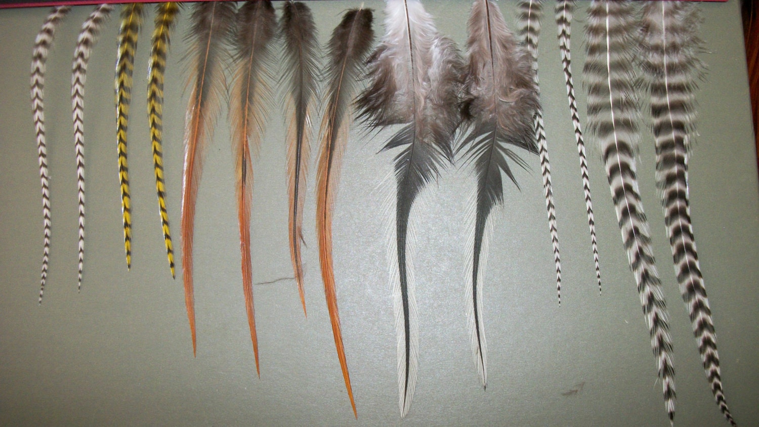 Feather Extension Hair 14