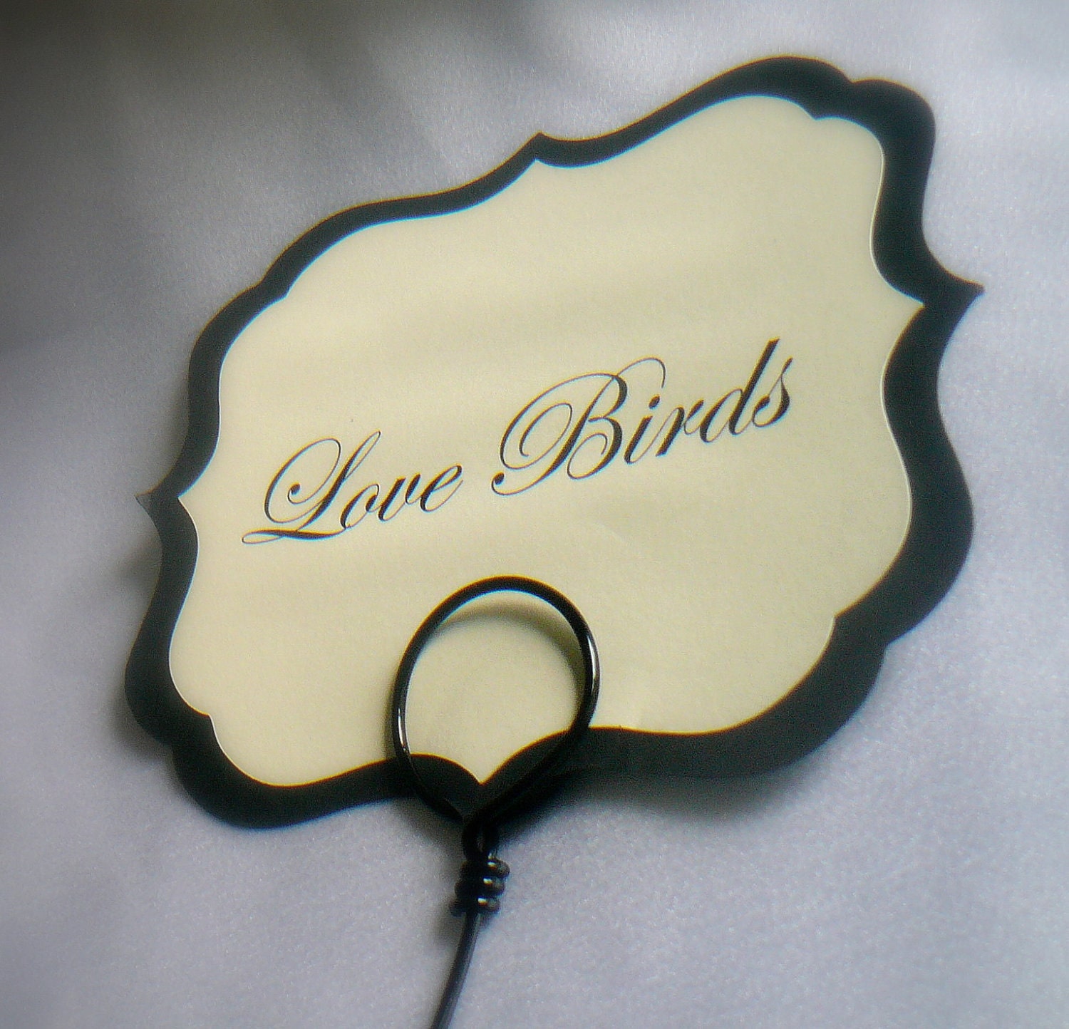 Black Cardette Holder Picks