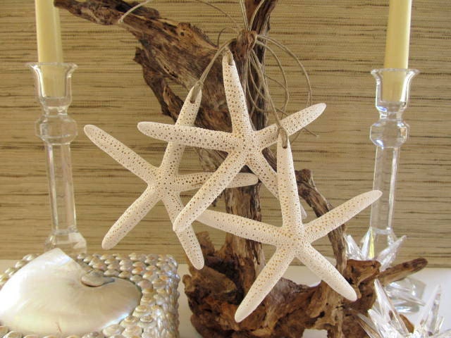 Reserved for Kalyn Beach Wedding or Coastal Christmas Starfish Decorative 