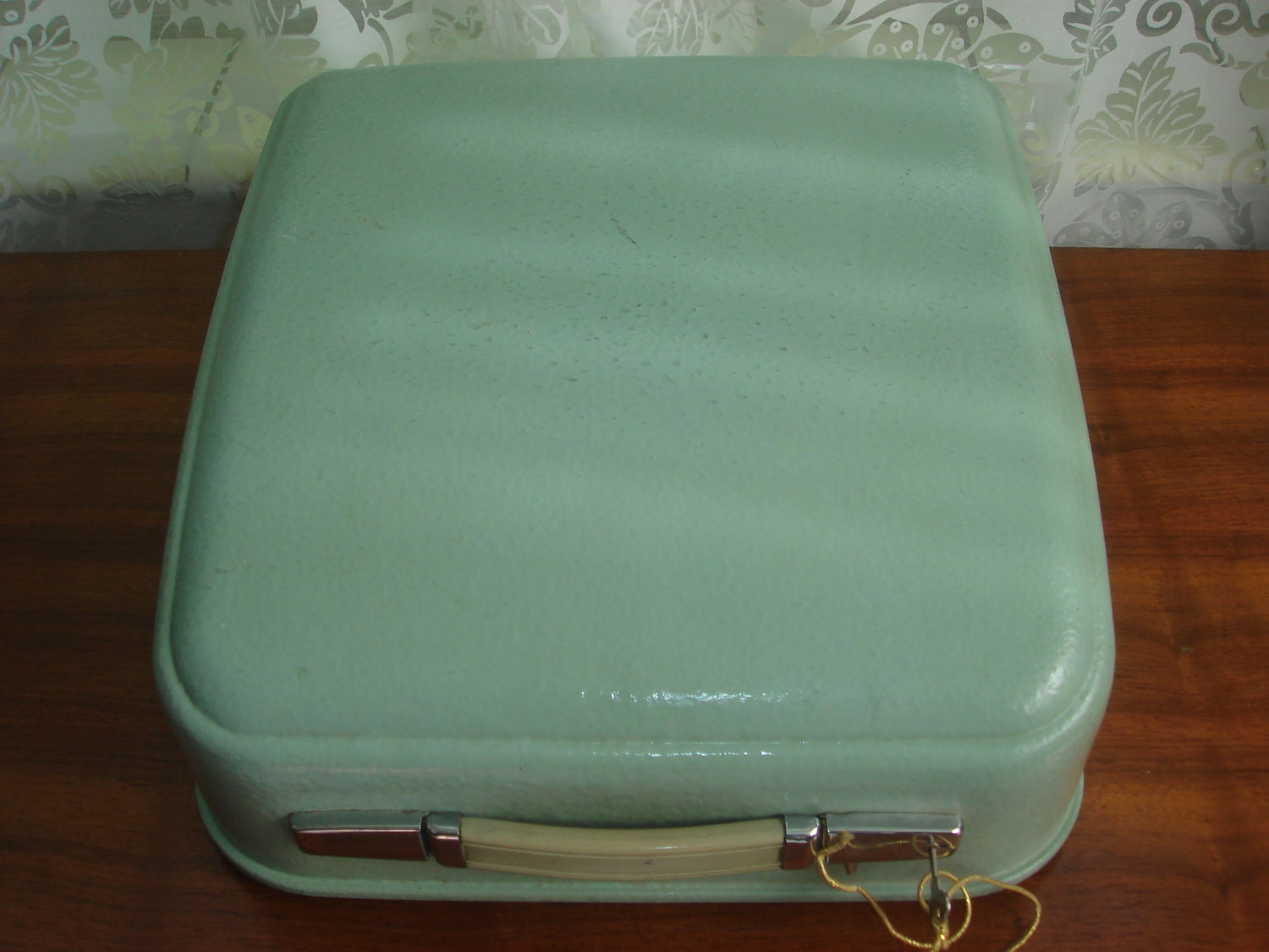 Mint Case