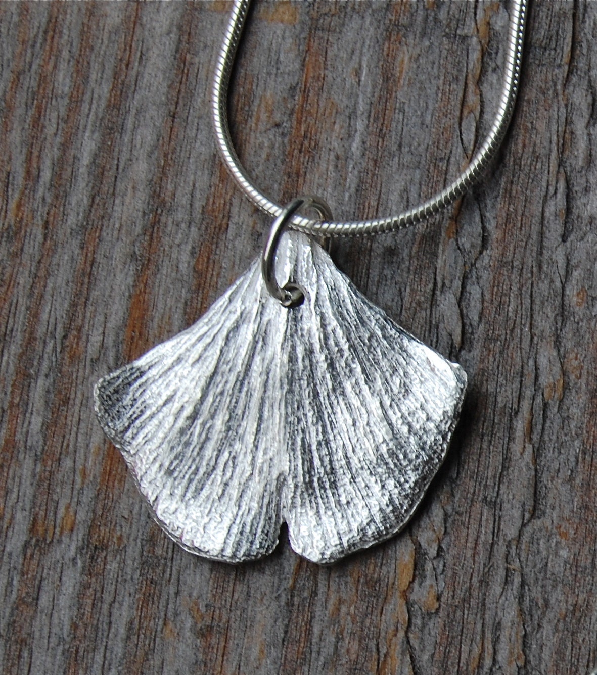 ginkgo