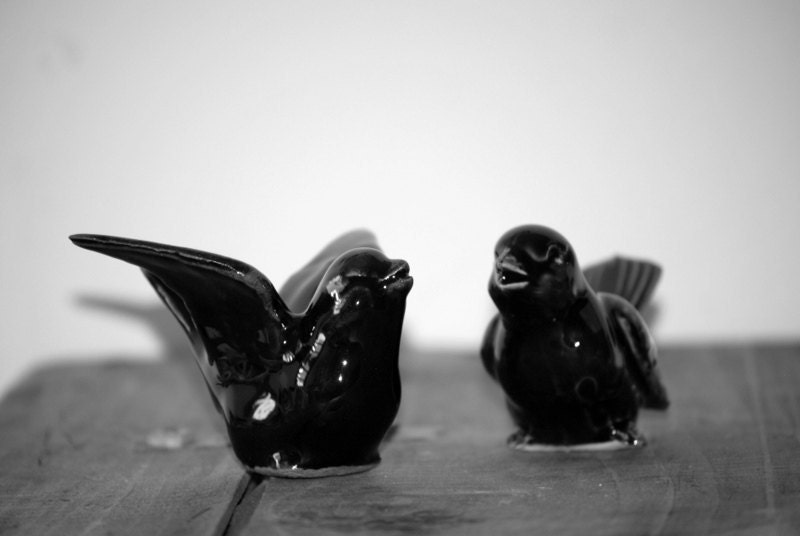 Bird Wedding cake toppers in black From claylicious