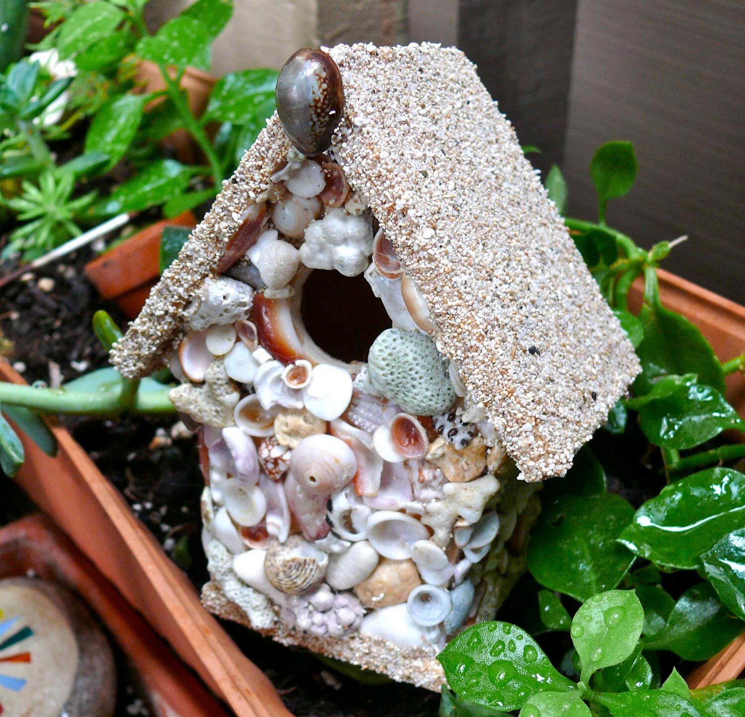 Hawaii Seashell Birdhouse, sea shells & sand bird house for your beach