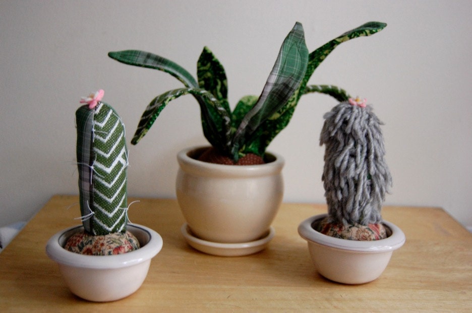 plush plants